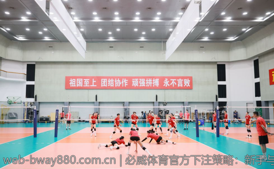 必威体育官方下注策略：新手与老手的视角