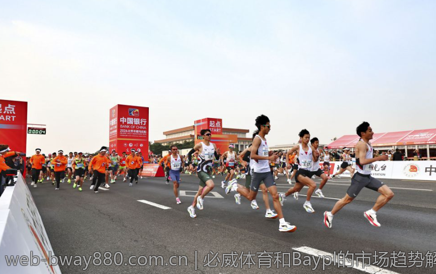 必威体育和Baypl的市场趋势解读